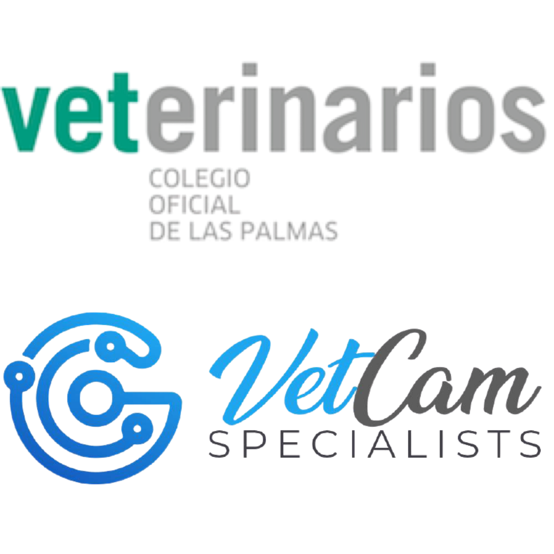 gestion y marketing veterinario